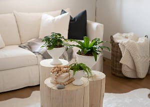 Minimalist Living Room Natural Elements