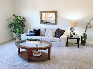Minimalist Living Room